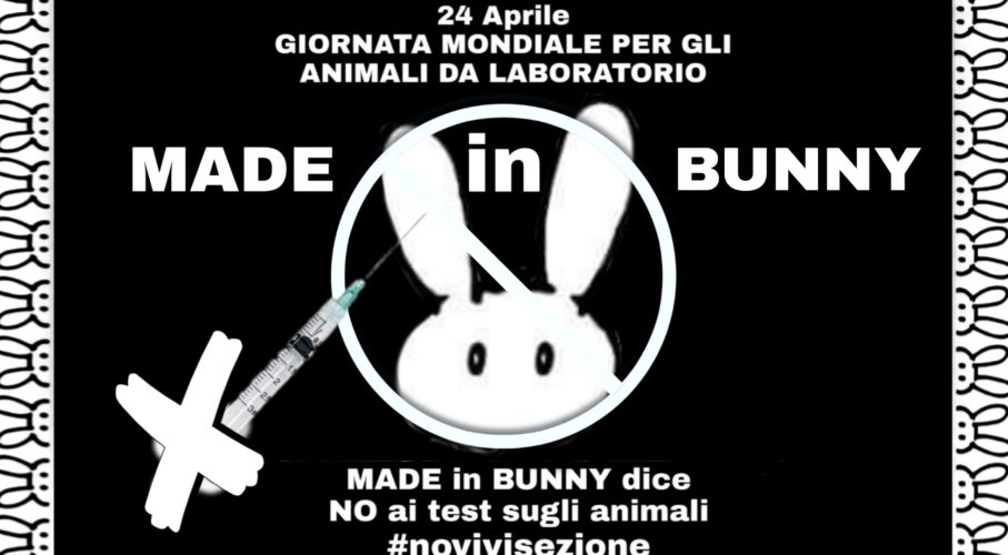 24 Aprile – Giornata mondiale per gli animali da laboratorio
