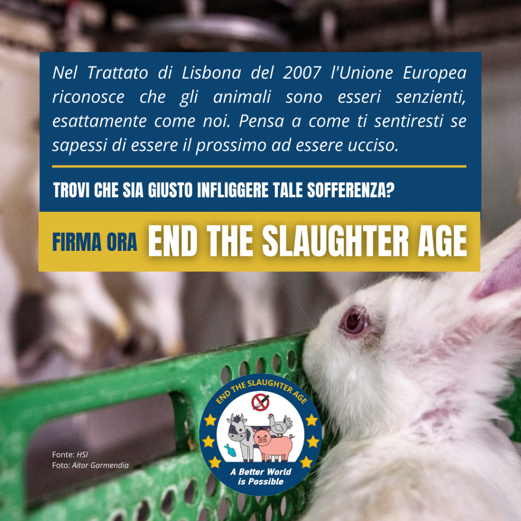 Firma ora l’ICE “End the slaughter age”